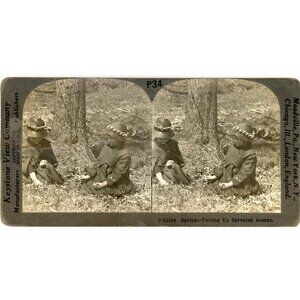 Vintage Keystone Stereoview Card P34 Educational Museum St. Louis#8